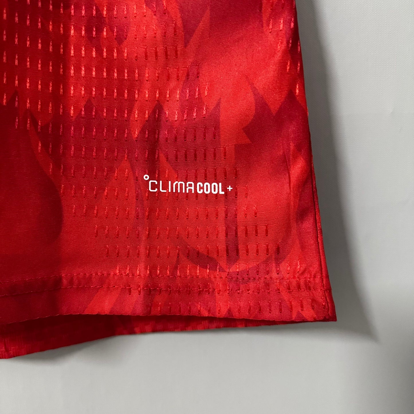 Belgium 2026 World Cup Home Jersey – Player Edition