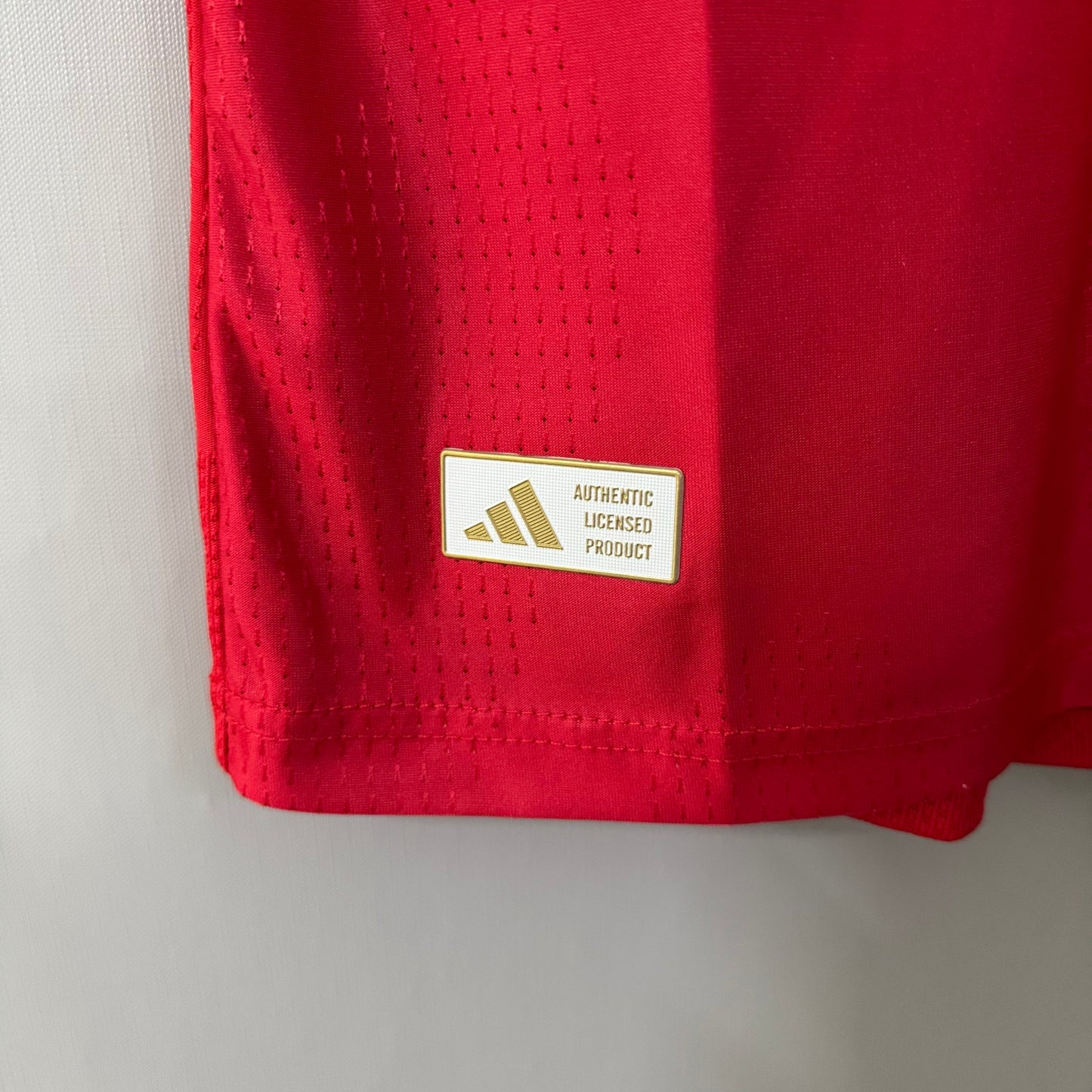 Wales 2026/27 Home Jersey – Player Edition