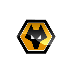 Wolves FC