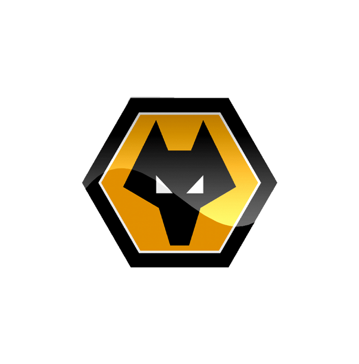 Wolverhampton Wanderers FC