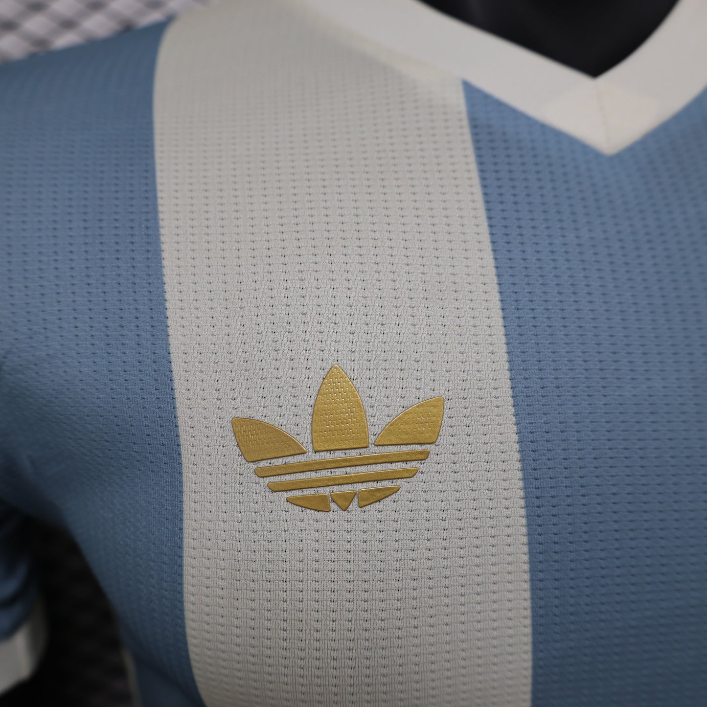 Argentina 50th Anniversary 2024/25 Jersey – Player Edition