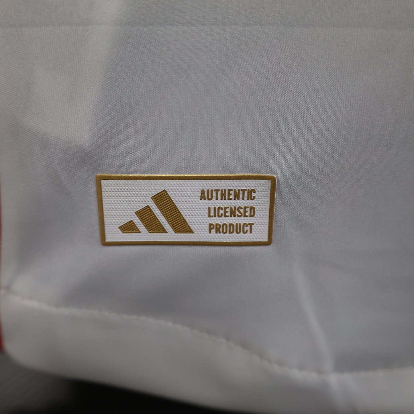 Olympique Lyon 2024/25 Home Jersey – Player Edition
