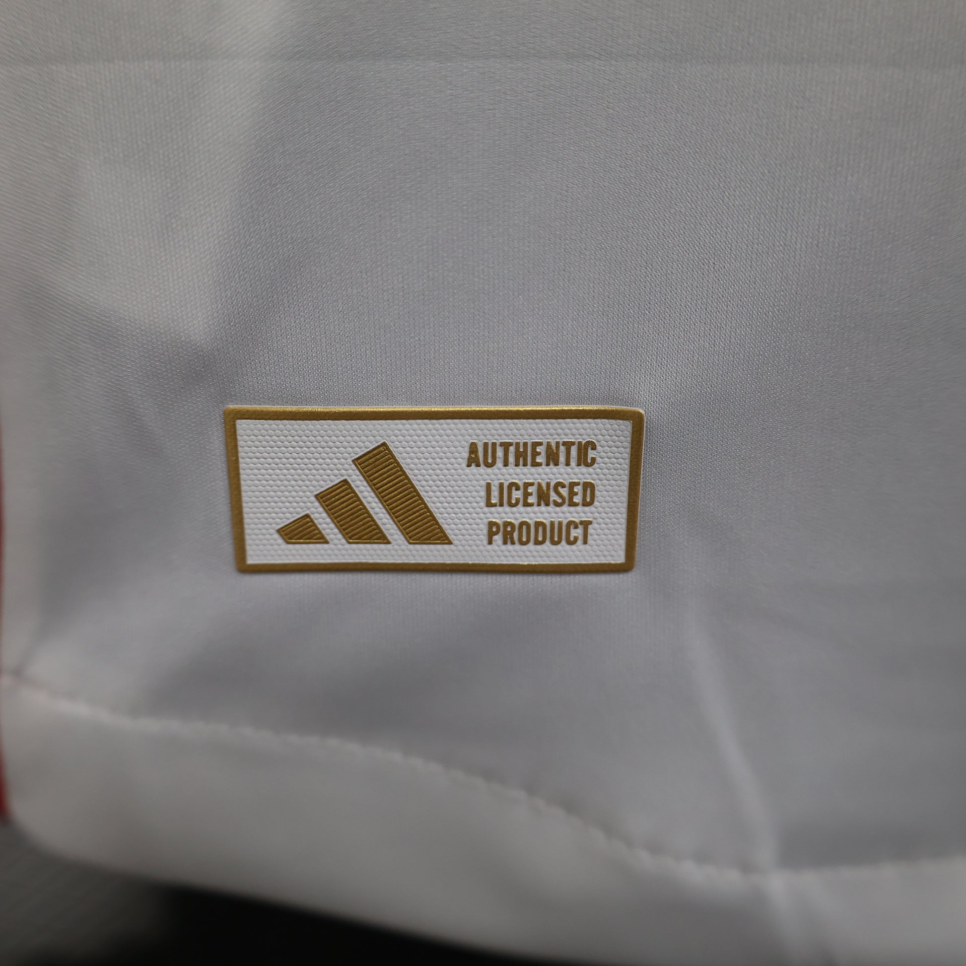 Olympique Lyon 2024/25 Home Jersey – Player Edition