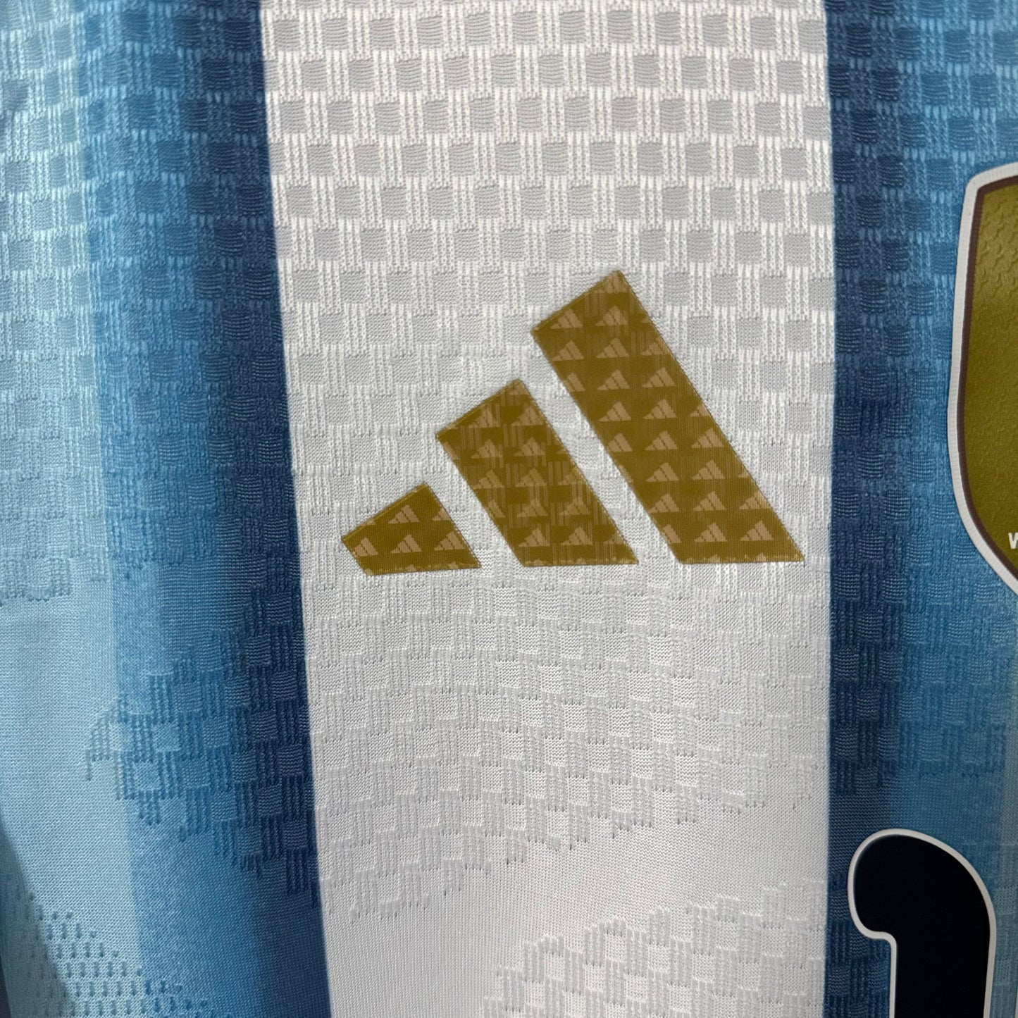 Argentina 2026 World Cup Home Jersey – Player Edition