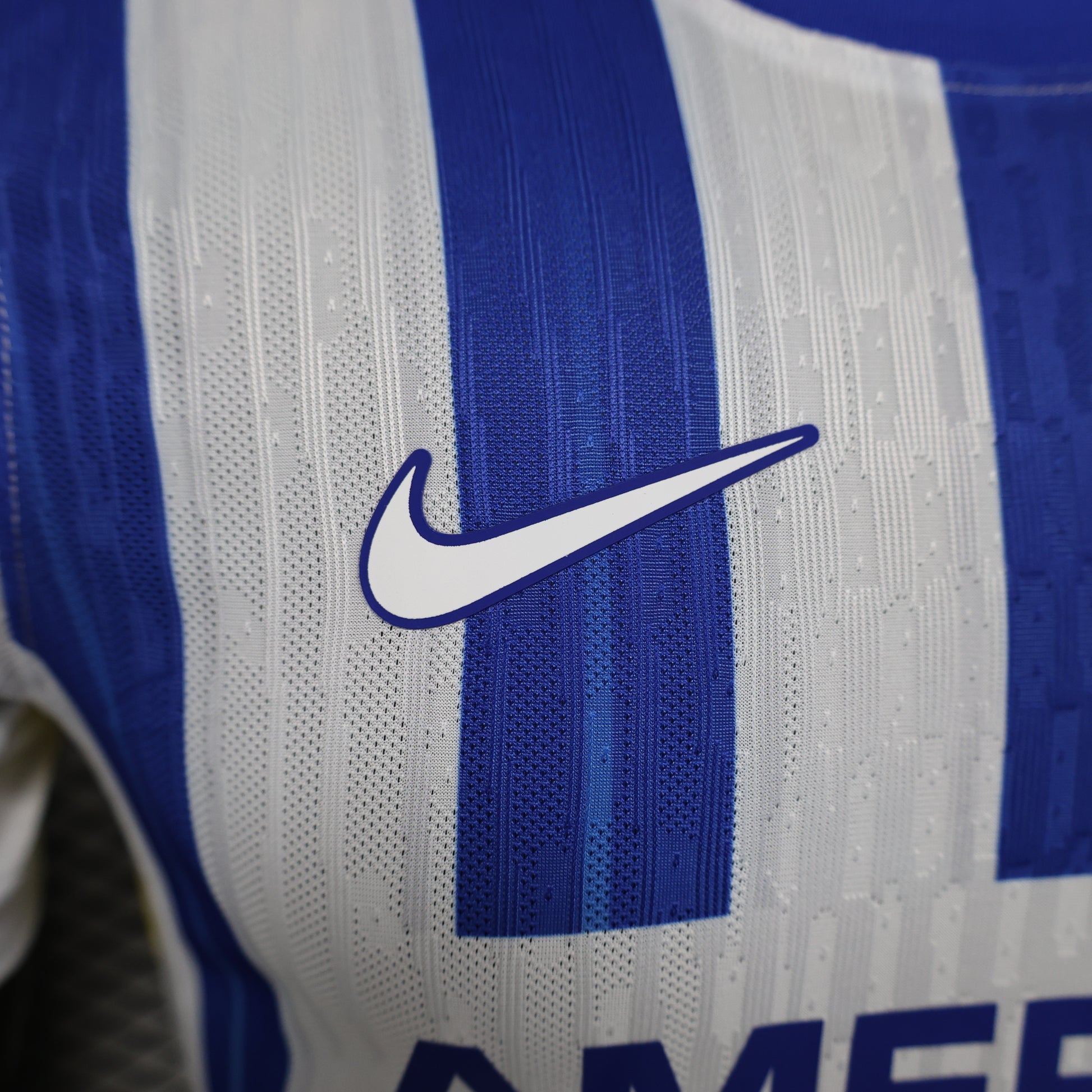 Brighton 2024/25 Home Jersey – Player Edition