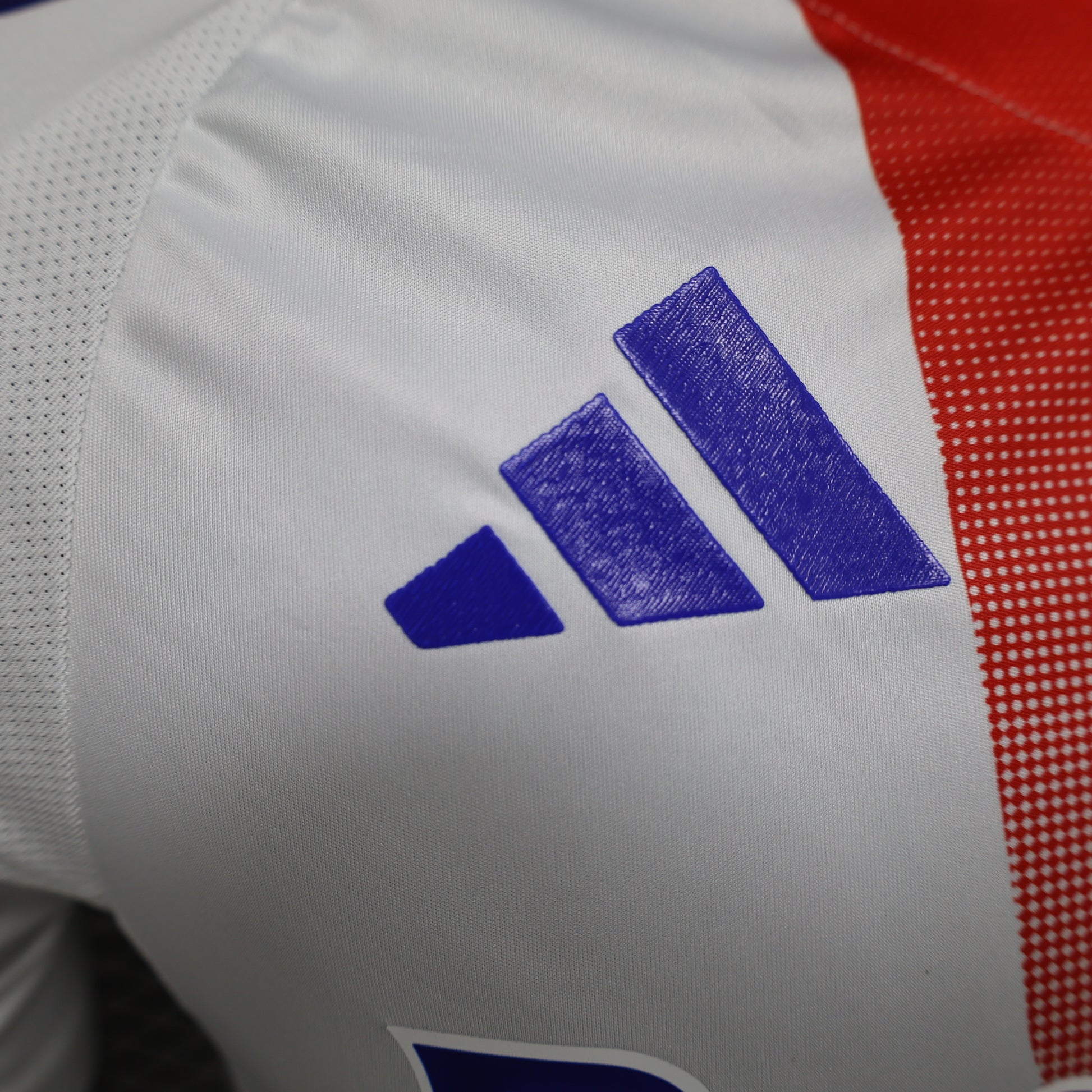 Olympique Lyon 2024/25 Home Jersey – Player Edition
