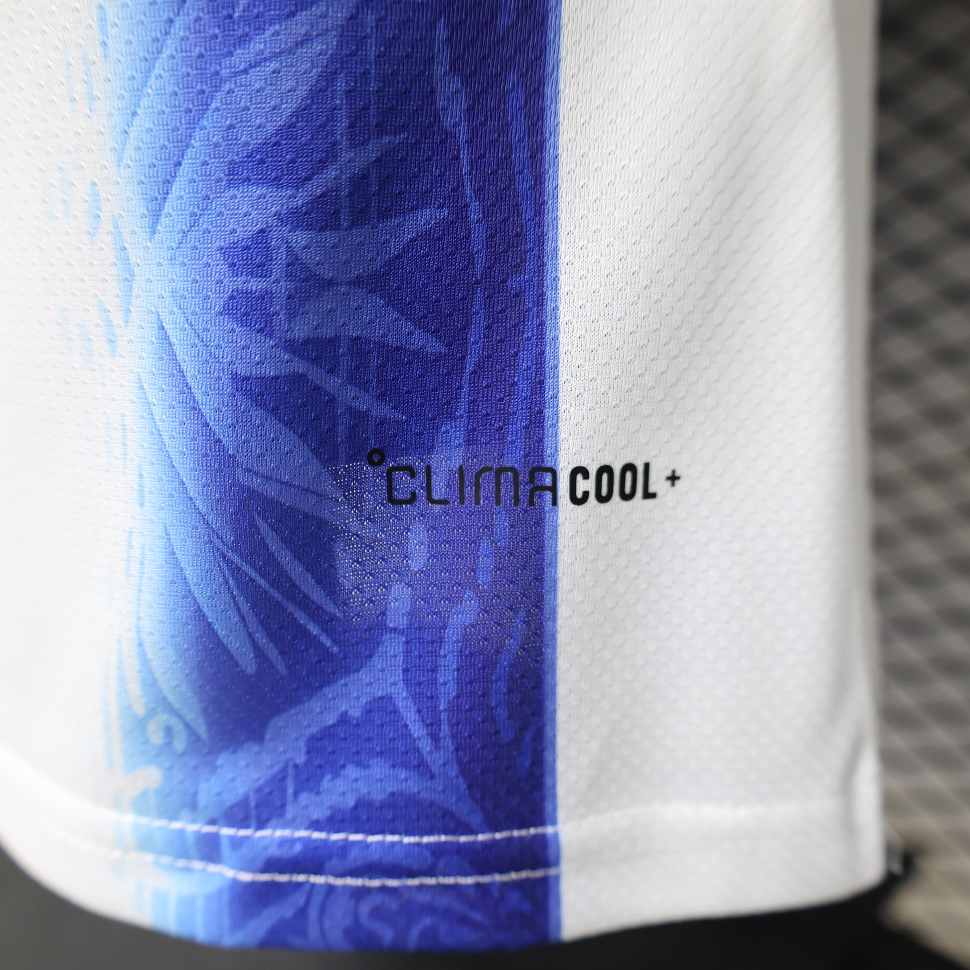 Argentina 2026 World Cup Special Jersey – Player Edition