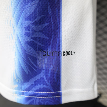 Argentina 2026 World Cup Special Jersey – Player Edition