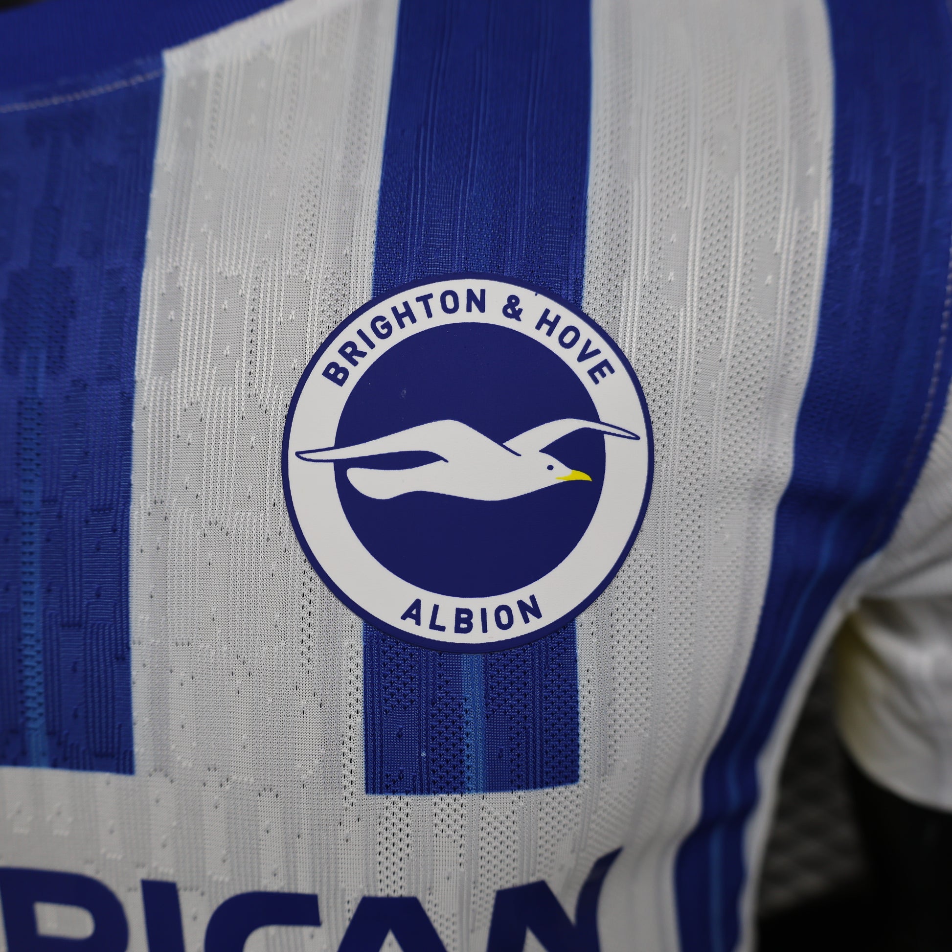 Brighton 2024/25 Home Jersey – Player Edition