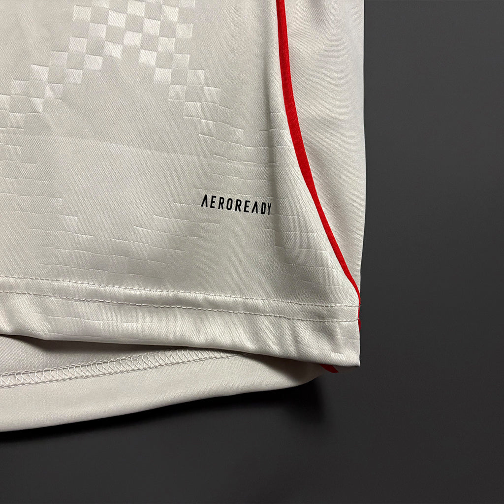 Benfica 2025/26 Away Jersey